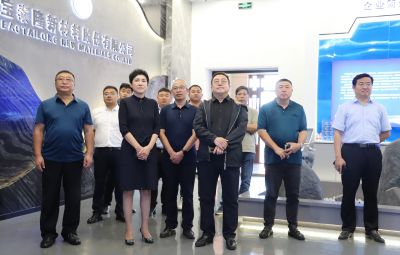 鑫融创集团调查团一行到amjs澳金沙门调查